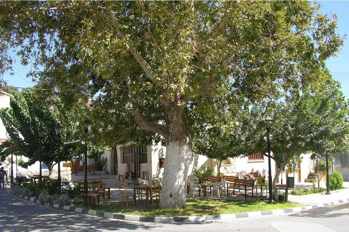 Avalon Village Houses Limassol Eksteriør billede