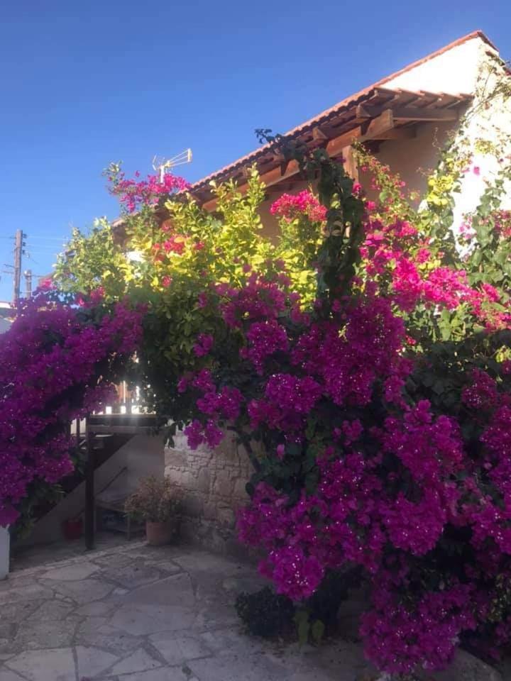 Avalon Village Houses Limassol Eksteriør billede